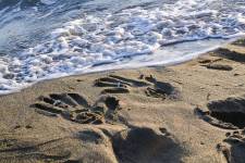 Jacky DUVERGER - Mégapix'Air