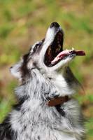 Mélissa BEAUFFRETON - MELISSA PHOTOGRAPHIE